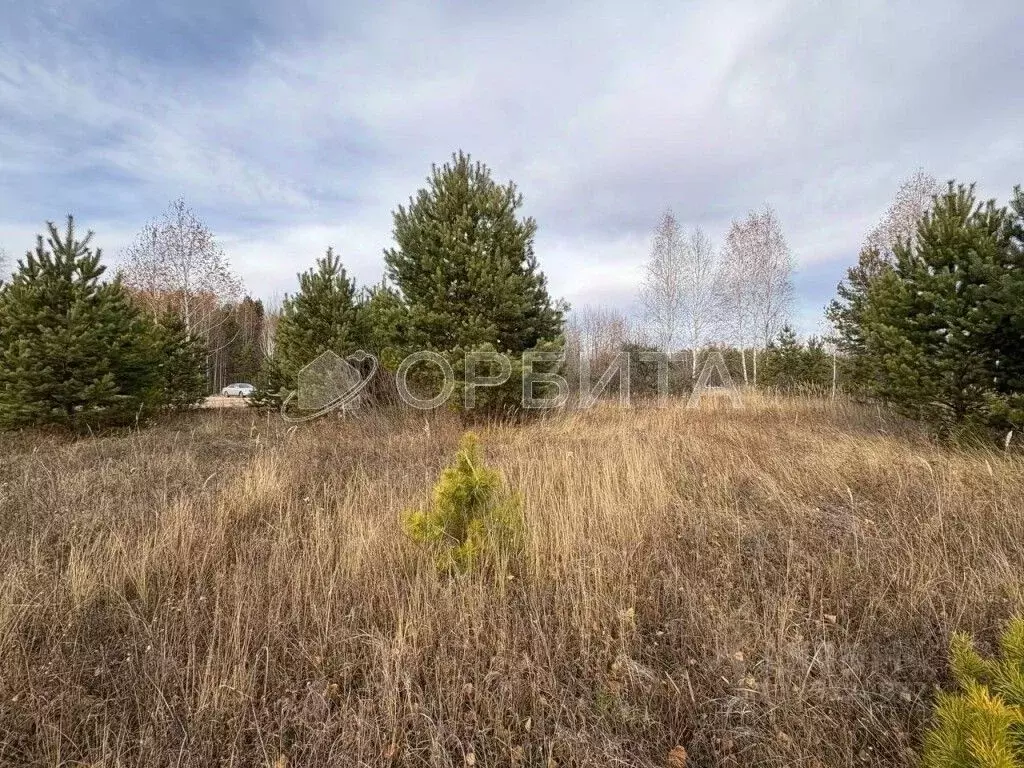 Участок в Тюменская область, Тюменский муниципальный округ, Архип ... - Фото 1