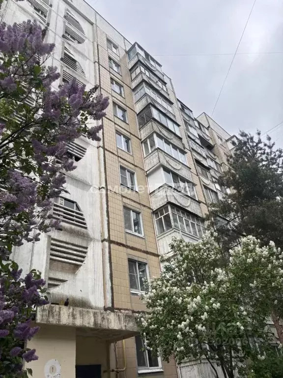 1-к кв. Белгородская область, Белгород ул. Губкина, 42б (34.0 м) - Фото 1