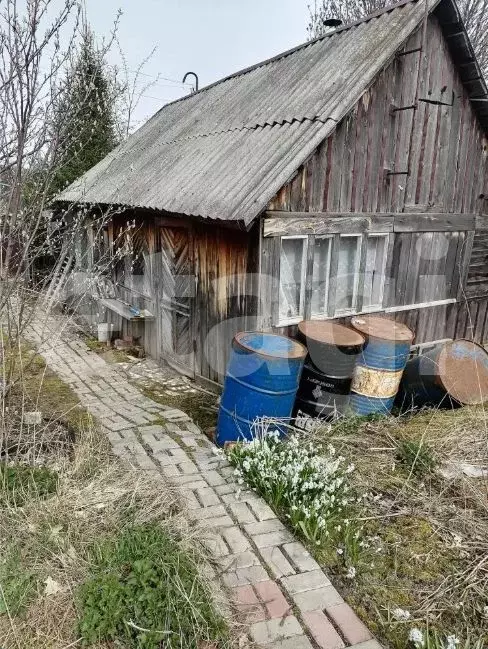 Участок в Томская область, Томск пос. Светлый, Рябинка садовое ... - Фото 1