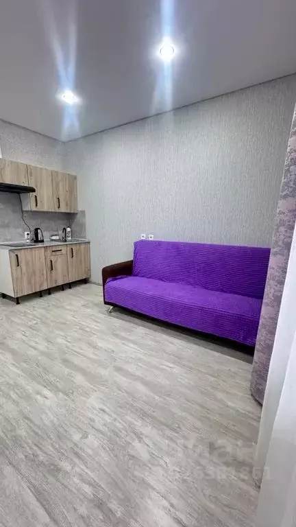 Студия Башкортостан, Уфимский район, с. Михайловка Новоуфимская ул., ... - Фото 2