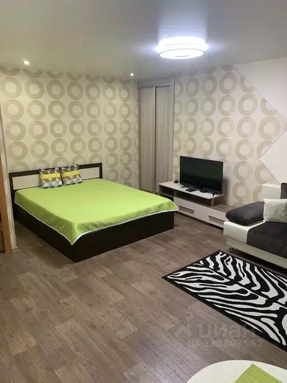 Студия Волгоградская область, Камышин ул. Крупской, 16 (31.0 м) - Фото 1