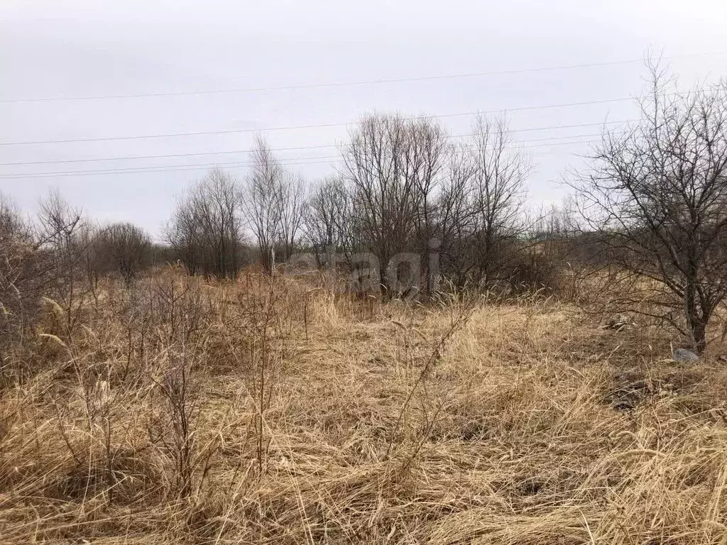 Участок в Хабаровский край, Хабаровский район, Надежда-2 СНТ 38 (6.0 ... - Фото 1
