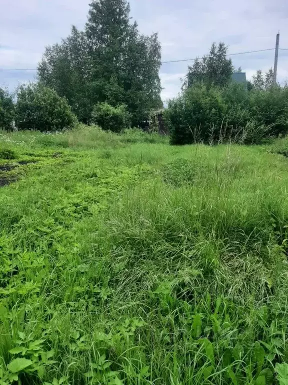 Участок в Вологодская область, Череповецкий район, Северсталь № 7 СНТ ... - Фото 2
