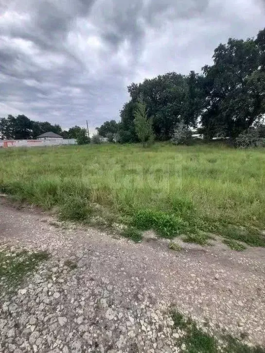 Участок в Волгоградская область, Среднеахтубинский район, Куйбышевское ... - Фото 1