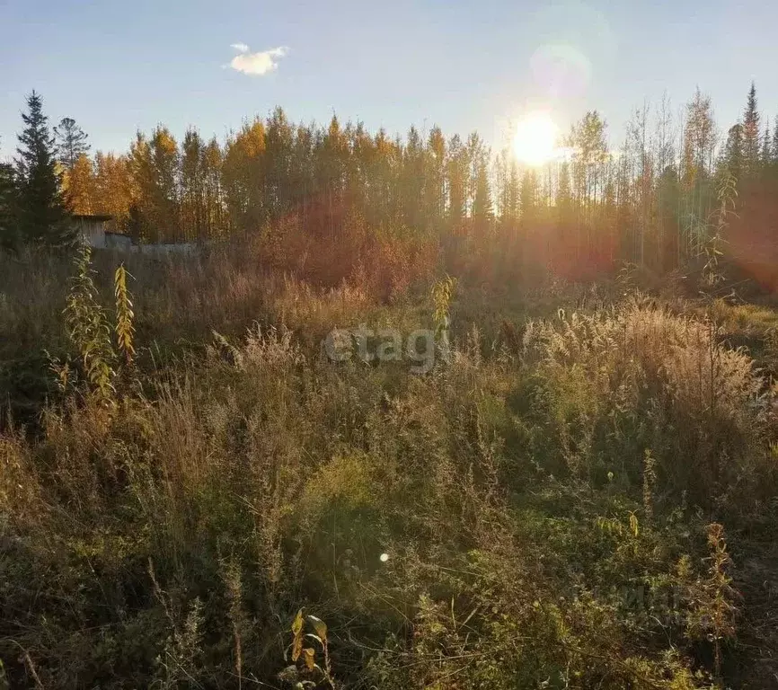 Участок в Ханты-Мансийский АО, Ханты-Мансийск Связист-2 СОТ,  (6.2 ... - Фото 0