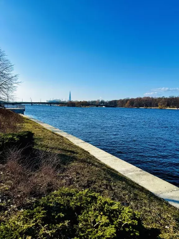 1-к кв. Санкт-Петербург Петровский просп., 9к2 (49.5 м) - Фото 0