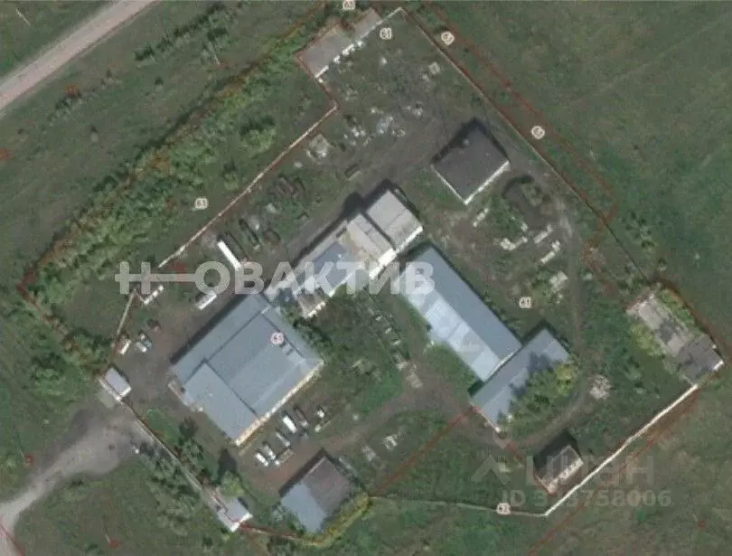 Производственное помещение в Новосибирская область, Чистоозерное рп ... - Фото 2