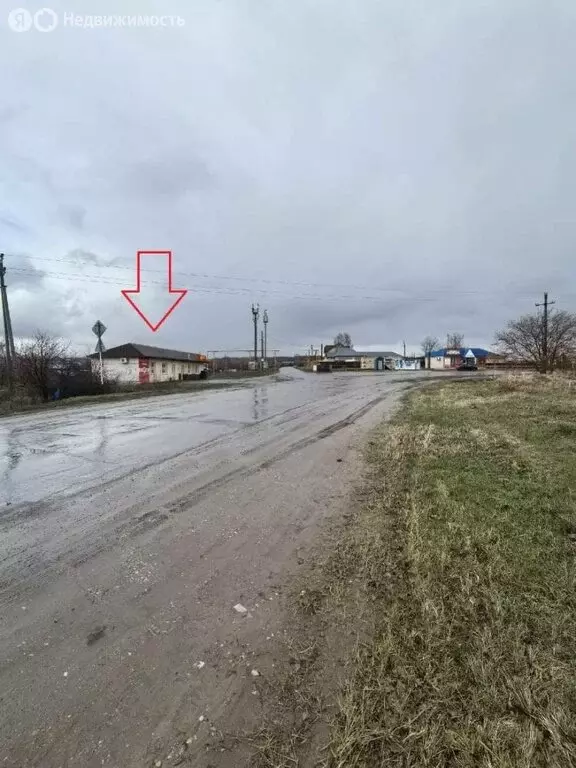 Помещение свободного назначения (53 м) - Фото 2