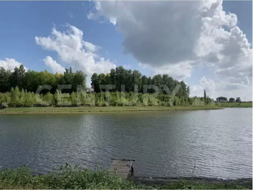 Участок в Липецкая область, Липецкий муниципальный округ, с. Частая ... - Фото 1