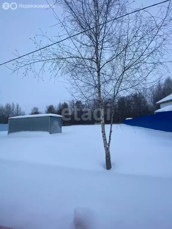 Участок в Дмитровский городской округ, деревня Кончинино (11.53 м) - Фото 0