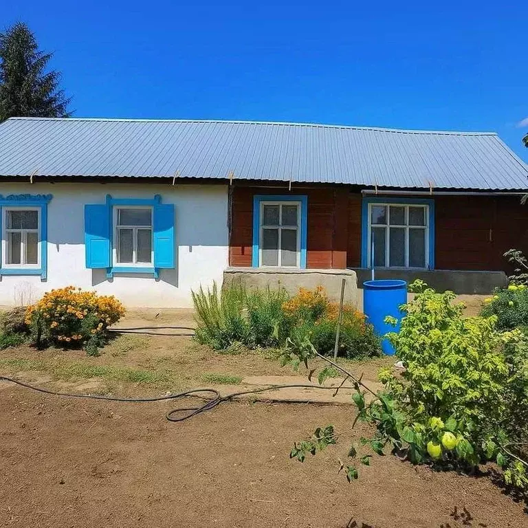 Дом в Оренбургская область, Бузулук Вишневая ул. (33 м) - Фото 1