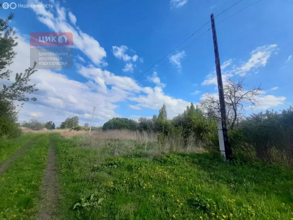 Участок в Рязанская область, Михайловский муниципальный округ, деревня ... - Фото 1