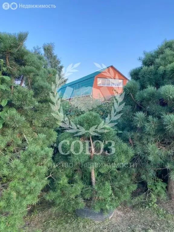 Дом в Калужская область, Дзержинский муниципальный округ, деревня ... - Фото 2