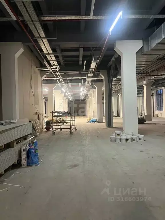 Помещение свободного назначения в Башкортостан, Уфа ул. Цюрупы, 12 ... - Фото 2