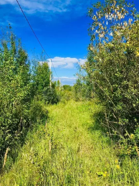 Участок в Ярославская область, Гаврилов-Ямский муниципальный округ, с. ... - Фото 1