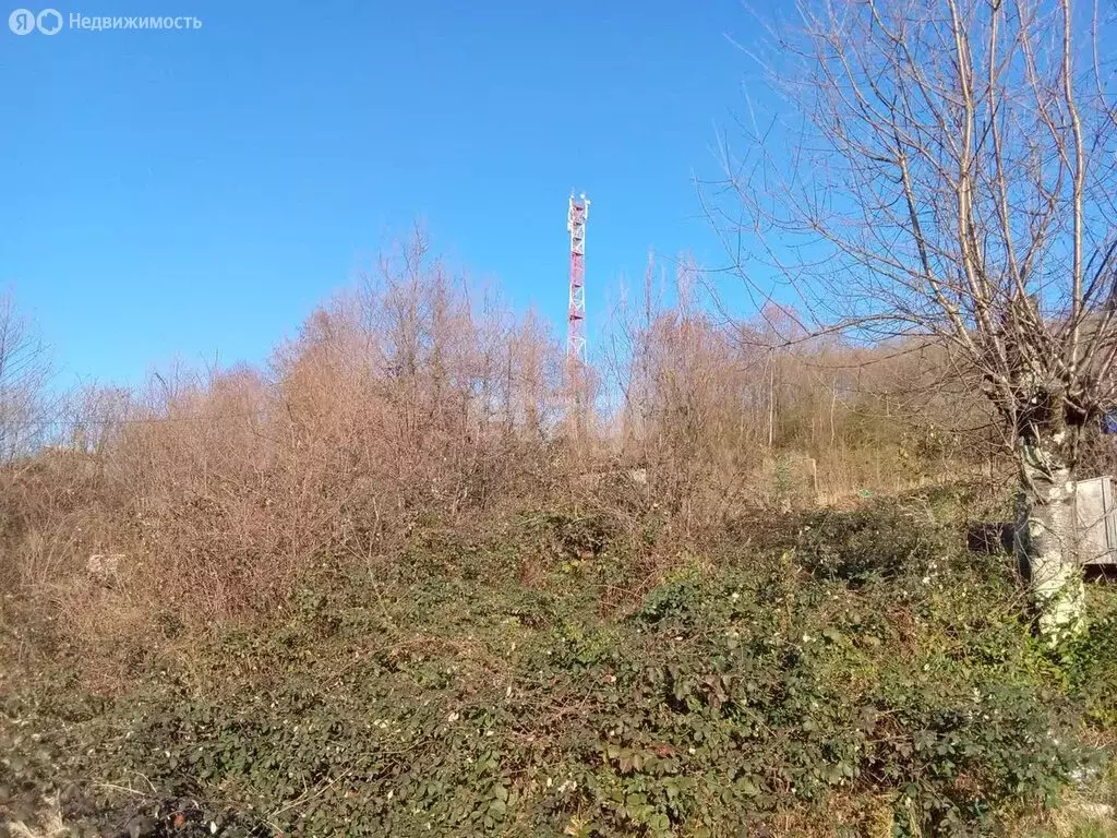 Участок в Краснодарский край, городской округ Сочи, село Нижняя ... - Фото 1