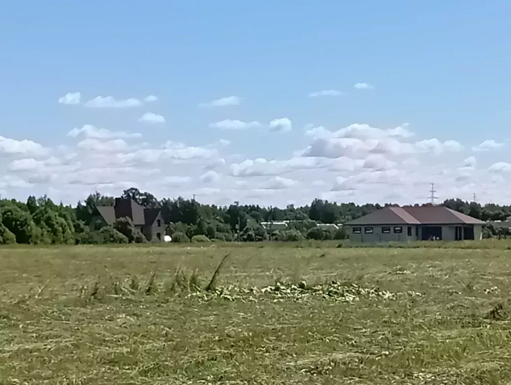 Участок в Ленинградская область, Кингисеппский район, Большелуцкое ... - Фото 1