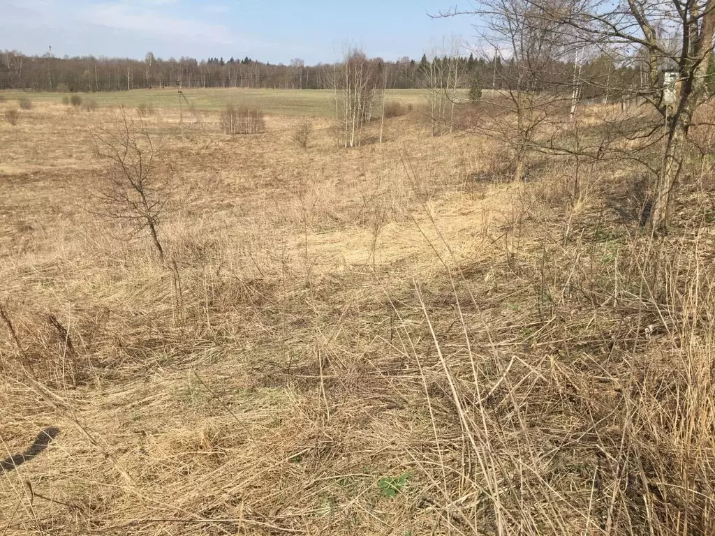 Участок в Московская область, Пушкинский городской округ, д. ... - Фото 1