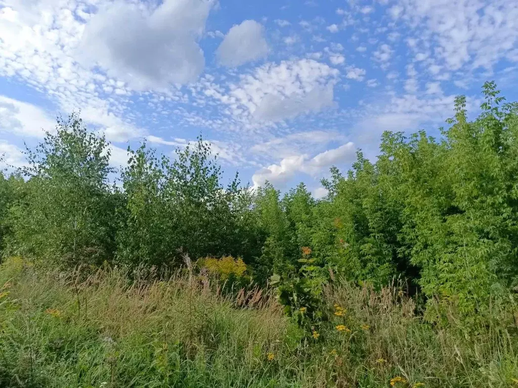 Участок в Московская область, Кашира городской округ, д. Тарасково  ... - Фото 1