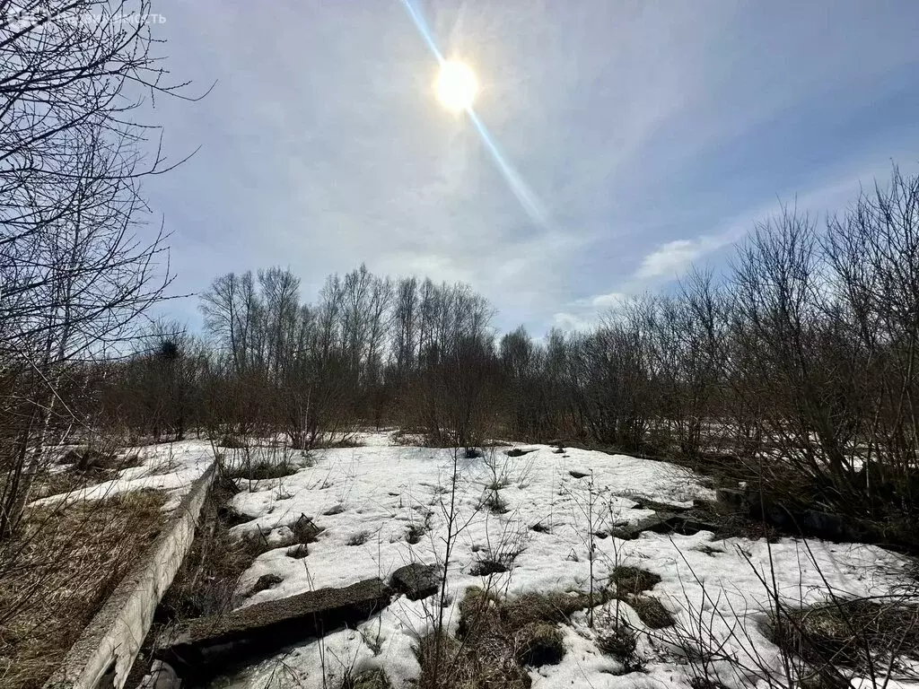 Участок в село Никольское, 1-я Восточная улица (35 м) - Фото 2