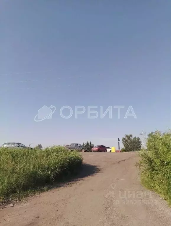 Участок в Тюменская область, Тюмень Рябинка-2 садовое товарищество,  ... - Фото 2