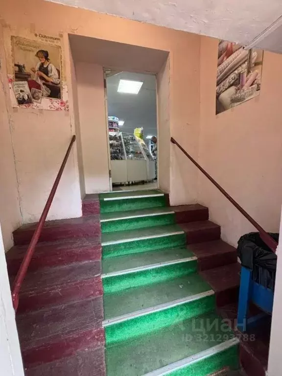 Торговая площадь в Новгородская область, Великий Новгород ул. ... - Фото 2