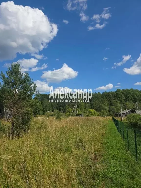 Участок в Ленинградская область, Приозерский район, Севастьяновское ... - Фото 1