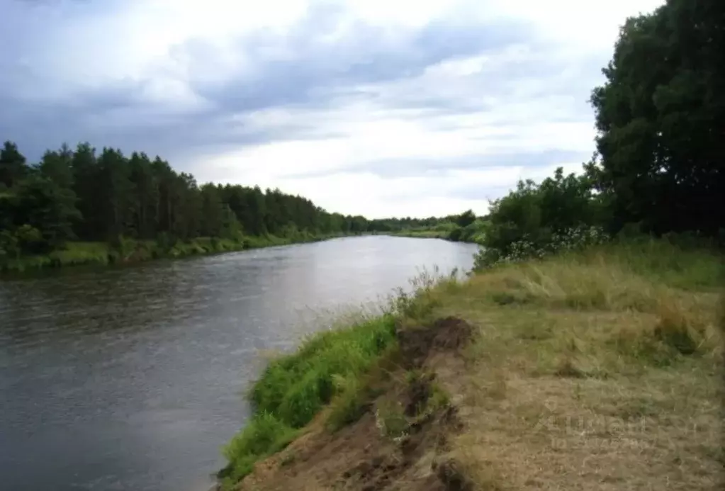 Участок в Московская область, Богородский городской округ, с. ... - Фото 1