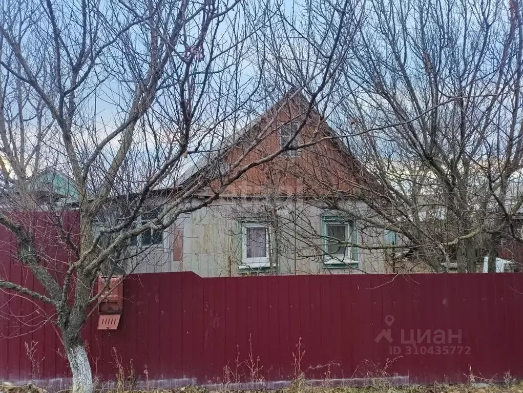 Дом в Белгородская область, Вейделевка рп пл. Центральная (27 м) - Фото 1