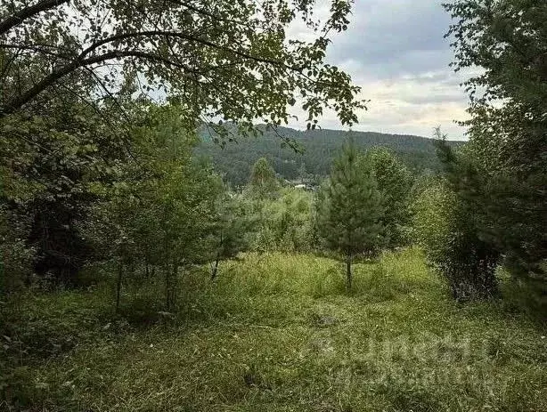 Участок в Алтай, Горно-Алтайск Плодовоягодная ул. (6.5 сот.) - Фото 2