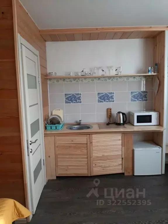 Комната Бурятия, Тункинский район, пос. Аршан ул. Пушкина, 11 - Фото 2