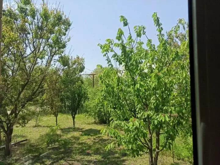 Дом в Мясниковский район, село Большие Салы (92 м) - Фото 2