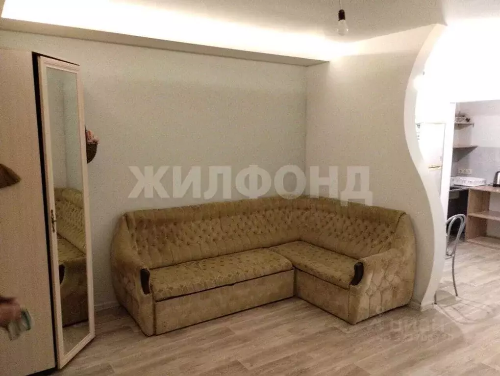 Студия Новосибирская область, Новосибирск ул. Александра Чистякова, ... - Фото 1