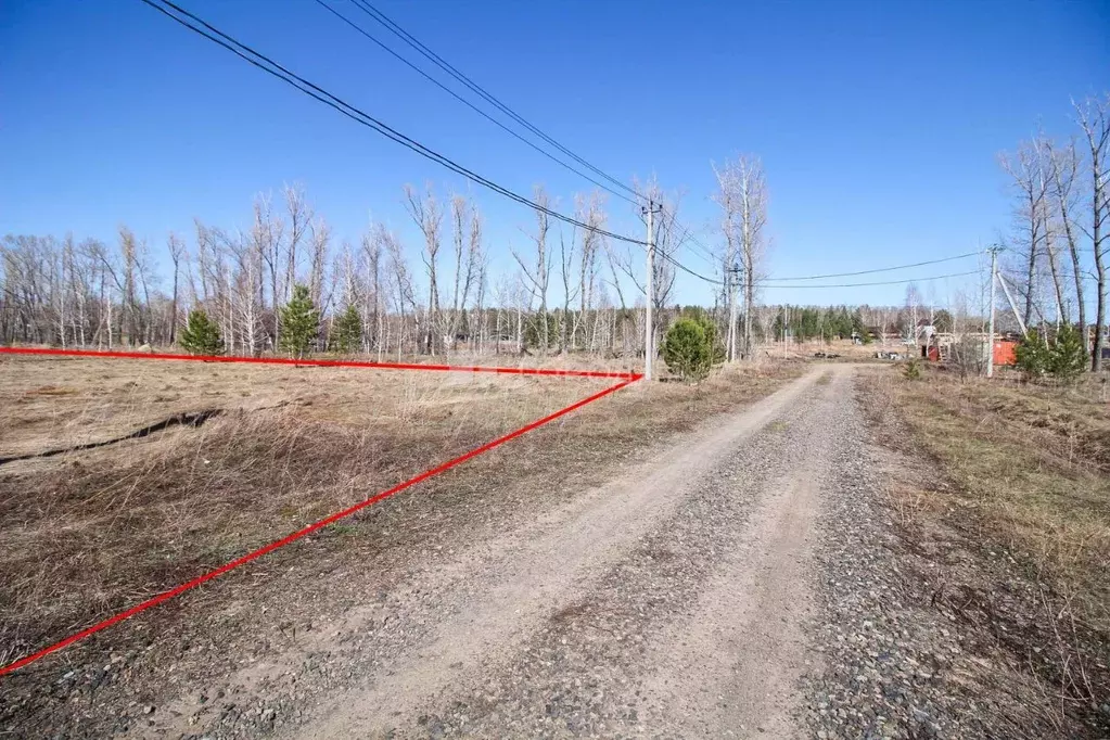 Участок в Алтайский край, Первомайский район, с. Фирсово, Рощино мкр ... - Фото 2