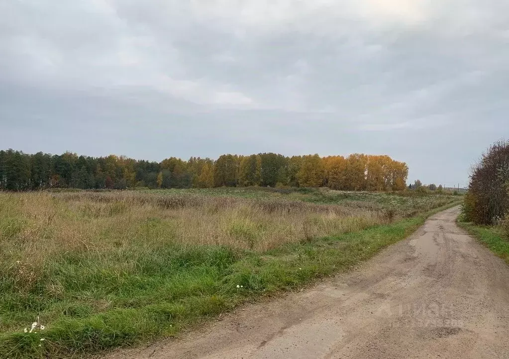 Участок в Ленинградская область, Выборгский район, Красносельское ... - Фото 0