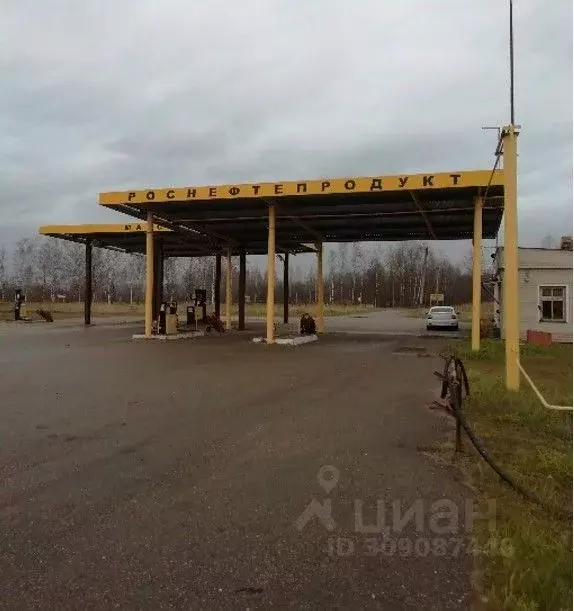 Производственное помещение в Новгородская область, Пестово ул. Плесо, ... - Фото 0