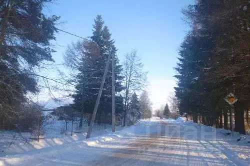 Участок в Новгородская область, Новгородский район, Борковское с/пос, ... - Фото 0