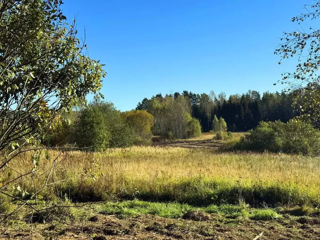 Участок в Московская область, Дмитровский муниципальный округ, Акация ... - Фото 1