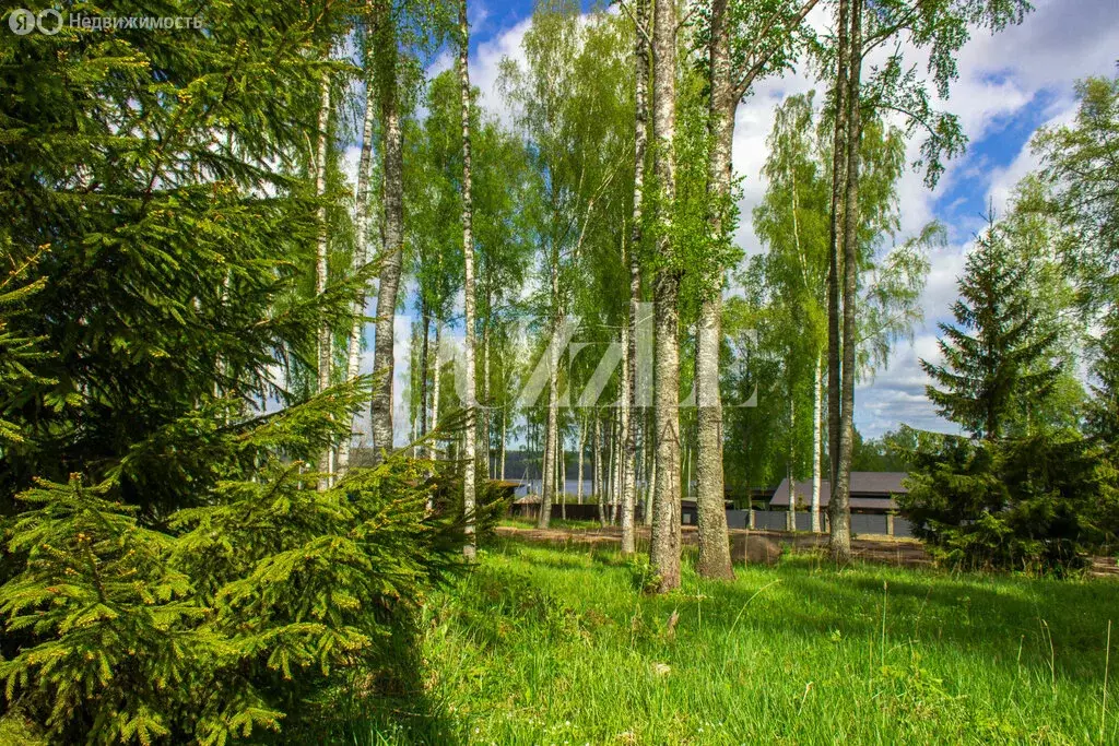 Участок в Приозерский район, Петровское сельское поселение, деревня ... - Фото 1