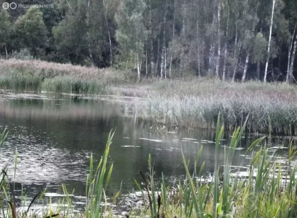 Участок в Нижнетавдинский район, село Антропово, Почтовая улица (15.7 ... - Фото 0