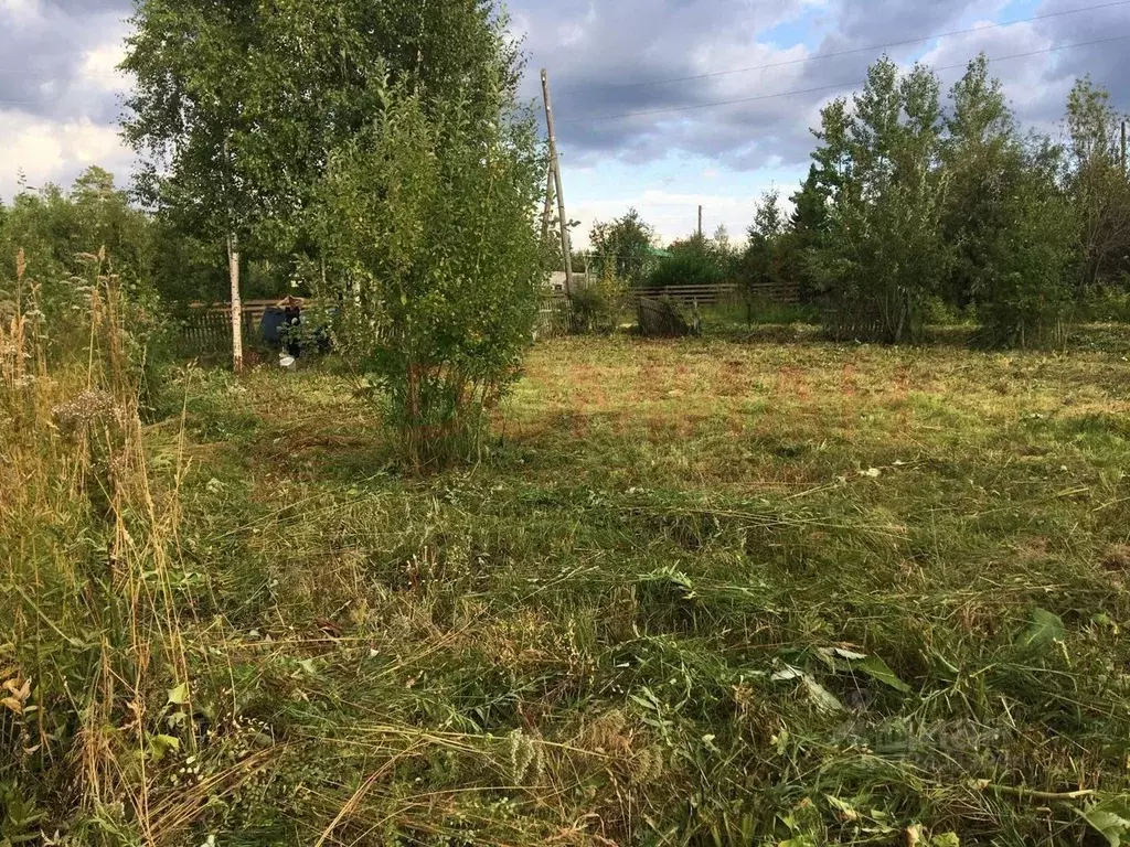 Участок в Ростовская область, Октябрьский район, Красюковская сл. ... - Фото 1