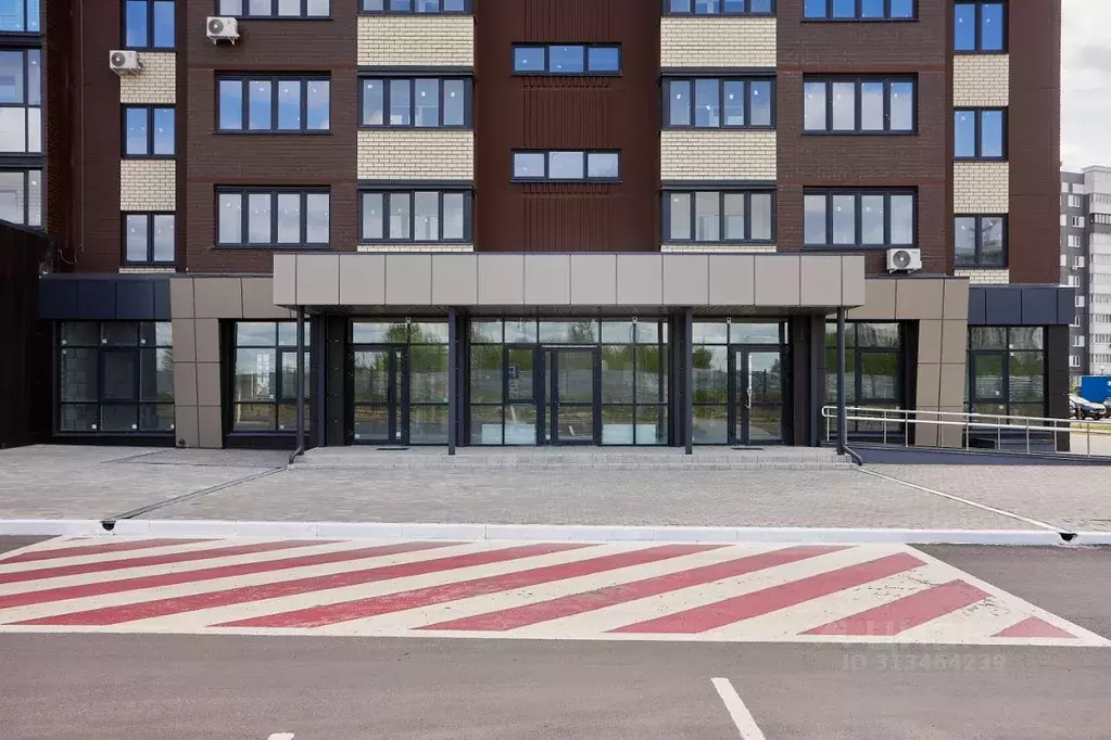 Помещение свободного назначения в Брянская область, Брянск ул. Имени ... - Фото 1