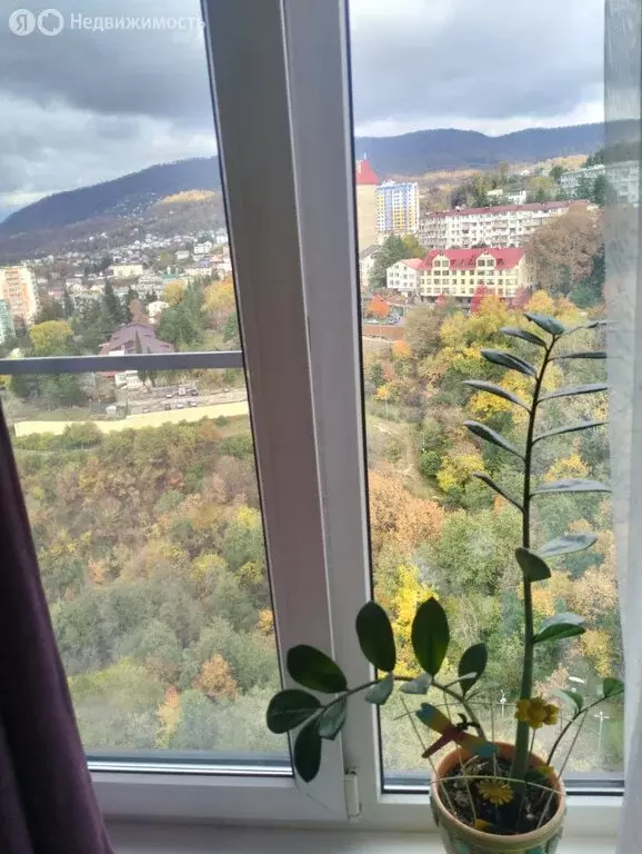 Квартира-студия: Сочи, Вишнёвая улица, 5А (27 м) - Фото 1