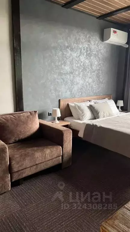 1-к кв. Челябинская область, Миасский городской округ, с. Сыростан ул. ... - Фото 2