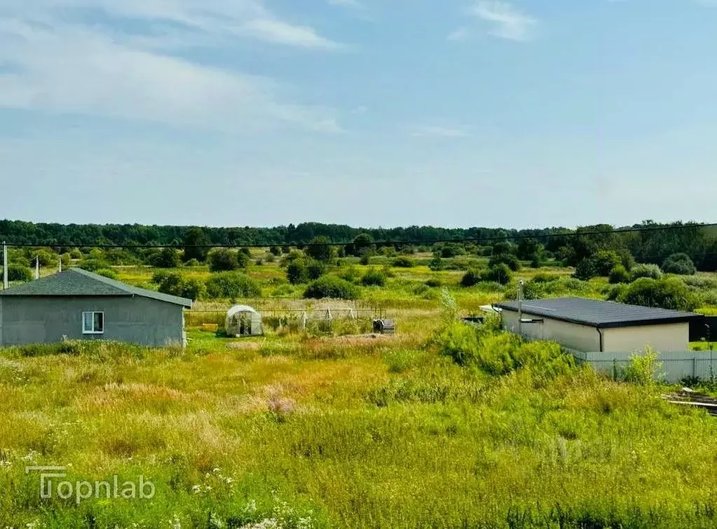Участок в Калининградская область, Гурьевский муниципальный округ, ... - Фото 1