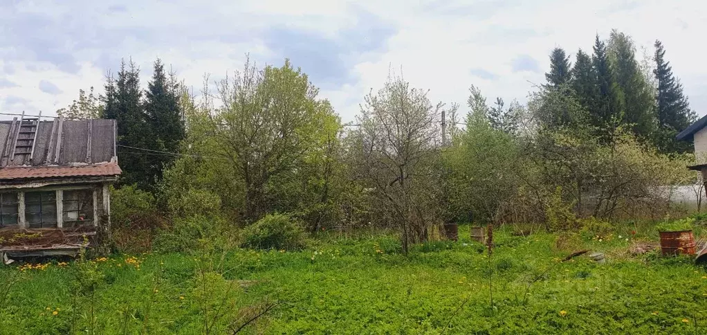 Участок в Ленинградская область, Всеволожский район, Рахьинское ... - Фото 1