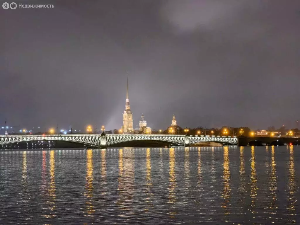 3-комнатная квартира: Санкт-Петербург, набережная Кутузова, 30Б (81 м) - Фото 0