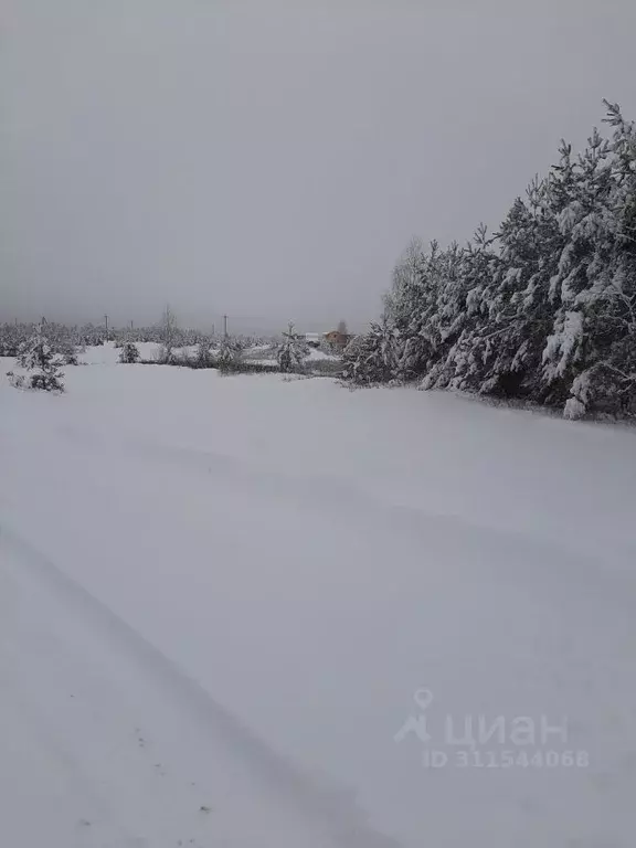 Участок в Московская область, Раменский городской округ, с. Речицы ул. ... - Фото 1