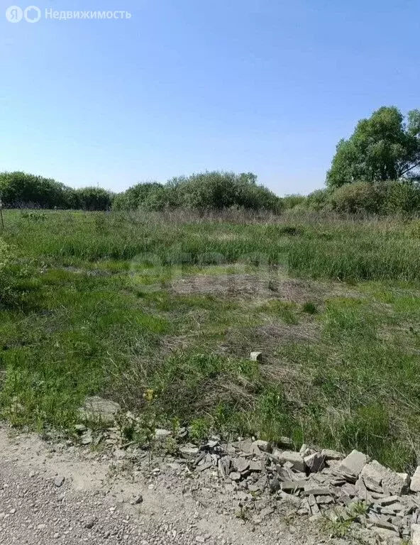 Участок в Семилукский район, Губарёвское сельское поселение, СОНТ ... - Фото 1