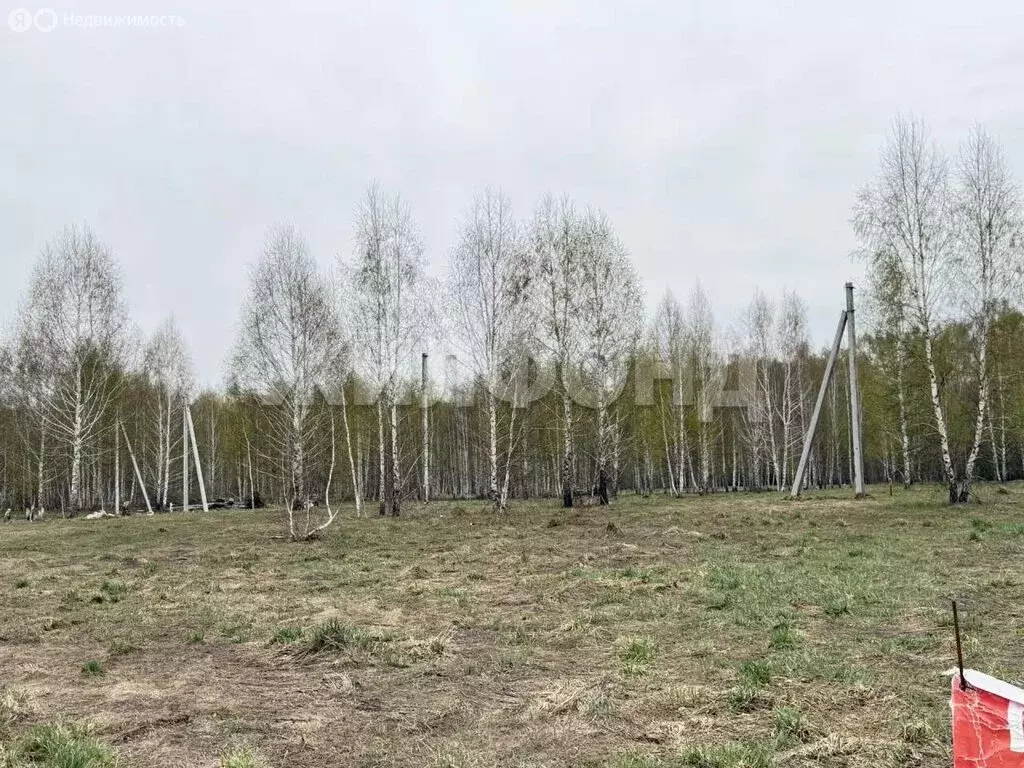 Участок в Каменский сельсовет, ДНТ Каменский Оазис, Весенняя улица (8 ... - Фото 2